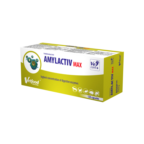 Amylactiv MAX 120 kapsułek